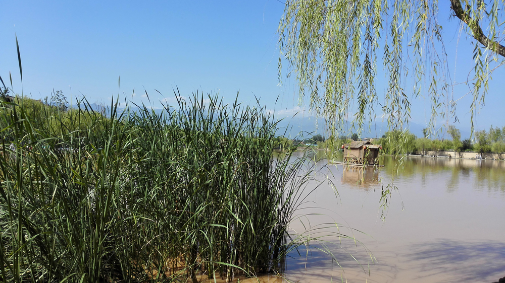 1504597737266943.jpg 3212.jpg